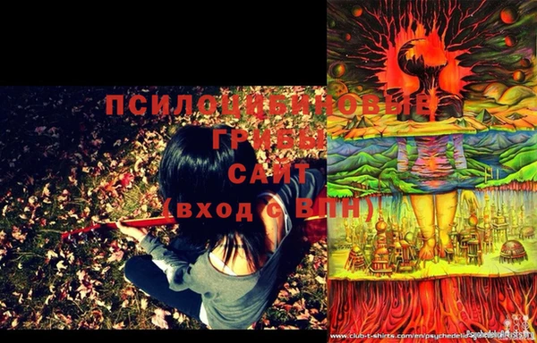 марки lsd Корсаков