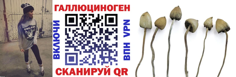 Галлюциногенные грибы прущие грибы  цена наркотик  Велиж 